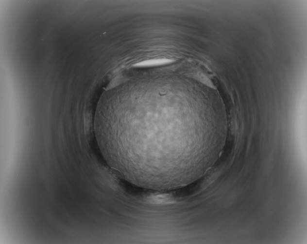 X0000086220283200704121902