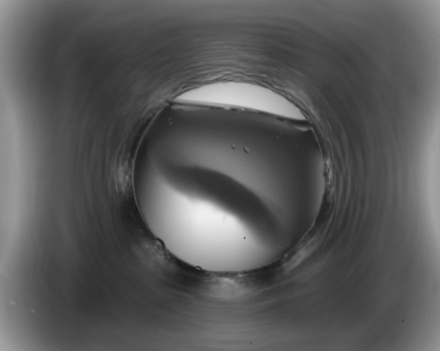 X0000086220285200704121902