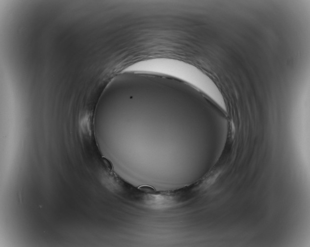 X0000086220286200704121902