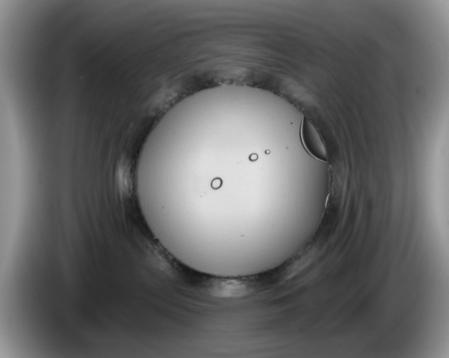 X0000086220287200704121902