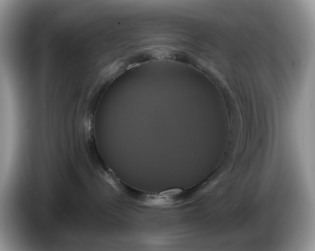 X0000086220288200704121902