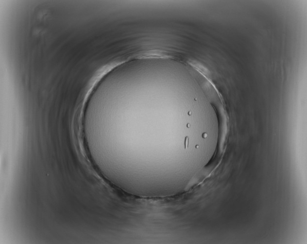 X0000086220289200704121902