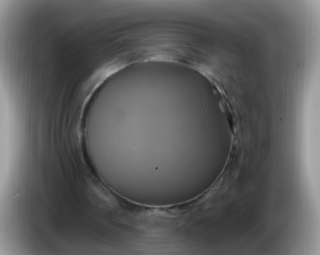 X0000086220290200704121902