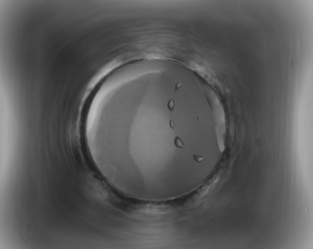 X0000086220292200704121902