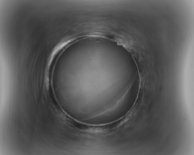 X0000086220294200704121902