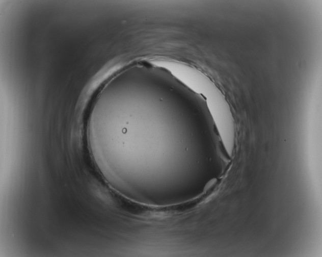 X0000086220295200704121902