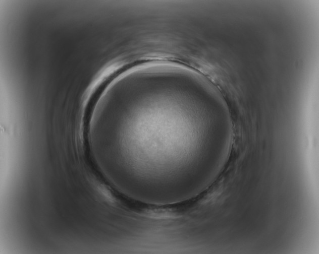 X0000086220296200704121902