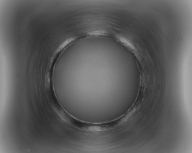 X0000086220298200704121902