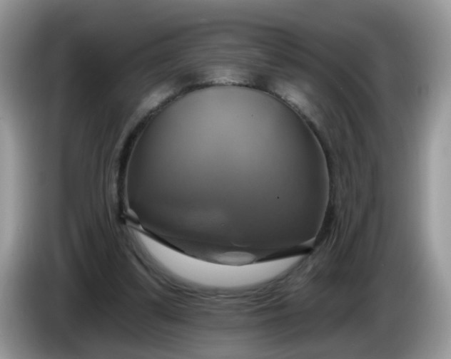 X0000086220299200704121902