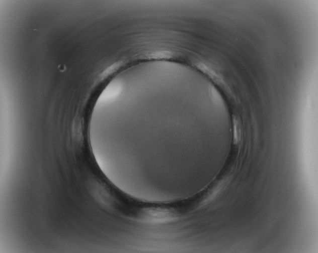 X0000086220300200704121902