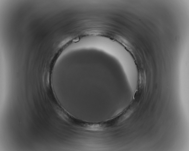 X0000086220301200704121902