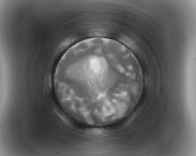 X0000086220302200704121902