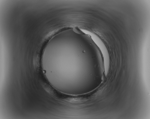 X0000086220303200704121902