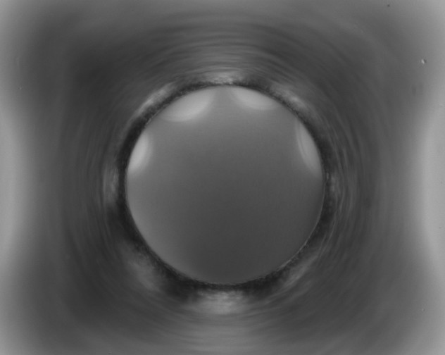 X0000086220304200704121902