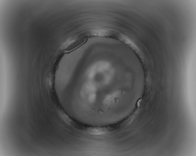 X0000086220305200704121902