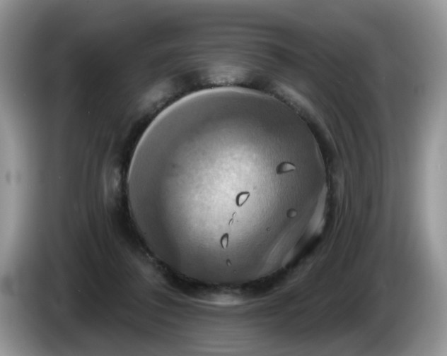 X0000086220308200704121902