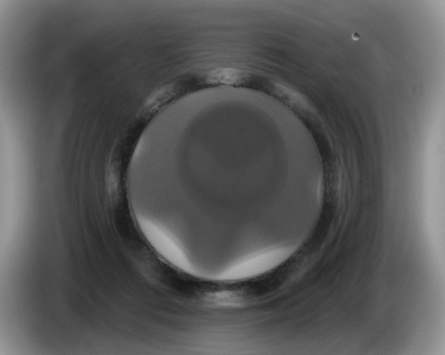 X0000086220312200704121902