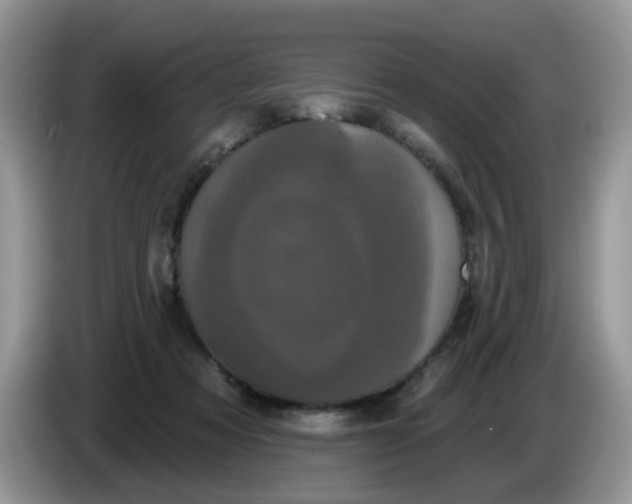 X0000086220313200704121902