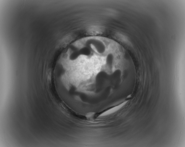 X0000086220315200704121902