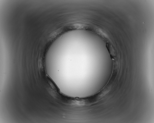 X0000086220317200704121901