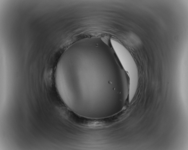 X0000086220319200704121901