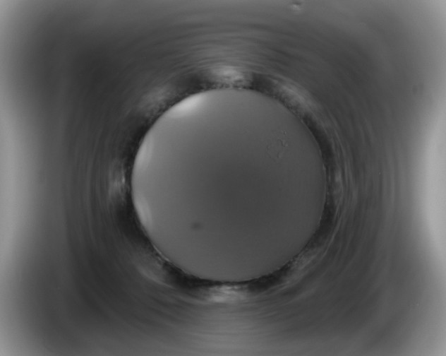 X0000086220320200704121901