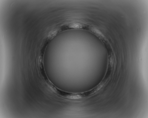 X0000086220322200704121901