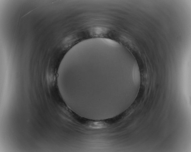 X0000086220324200704121901