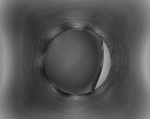 X0000086220325200704121901