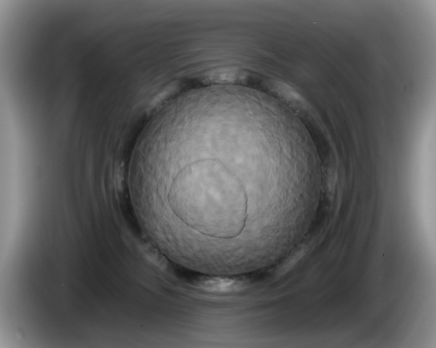 X0000086220326200704121901