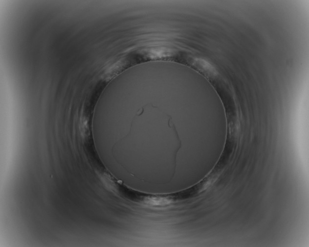 X0000086220327200704121901