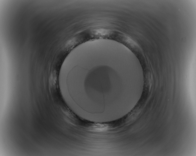 X0000086220328200704121901