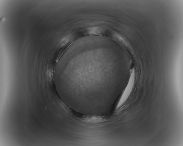 X0000086220329200704121901