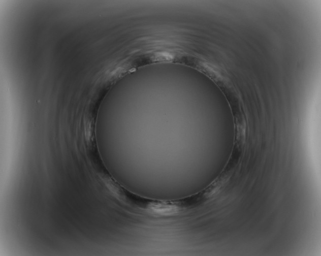 X0000086220331200704121901