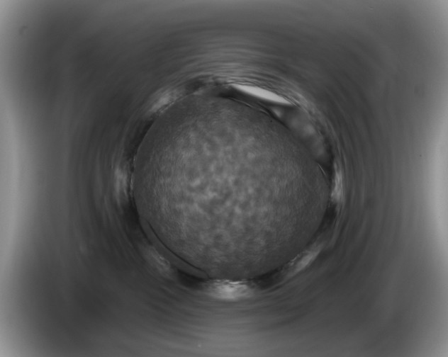 X0000086220333200704121901