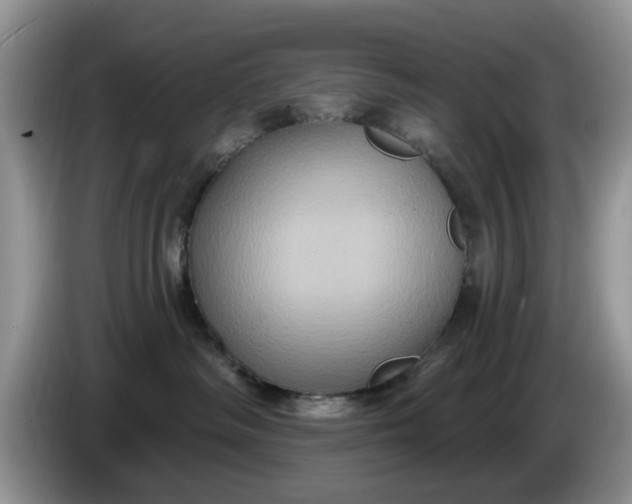 X0000086220334200704121901