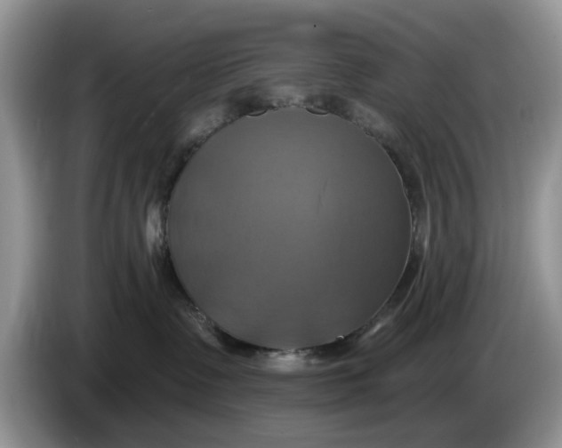 X0000086220335200704121901