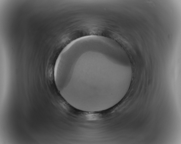 X0000086220336200704121901