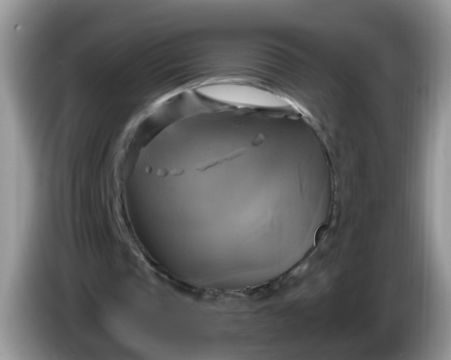 X0000086220337200704121901