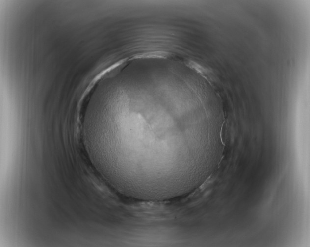 X0000086220338200704121901