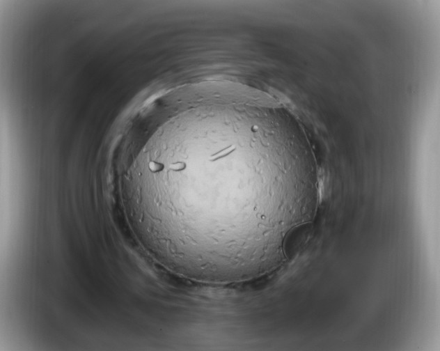 X0000086220339200704121901