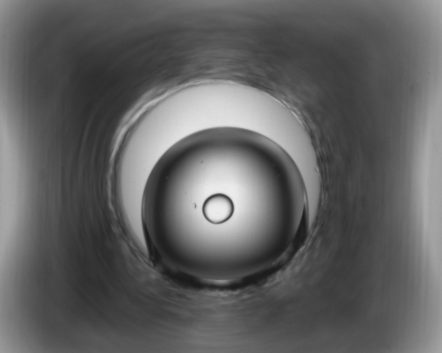 X0000086220340200704121901