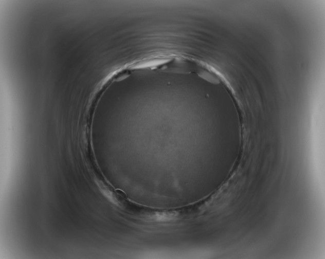 X0000086220345200704121901