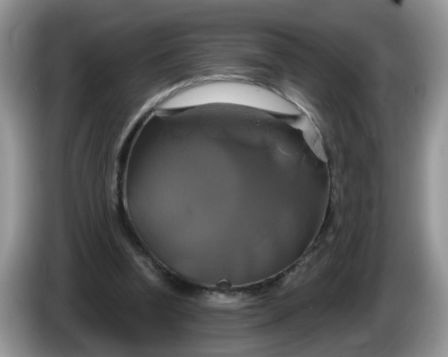 X0000086220346200704121901