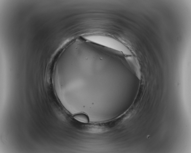 X0000086220347200704121901