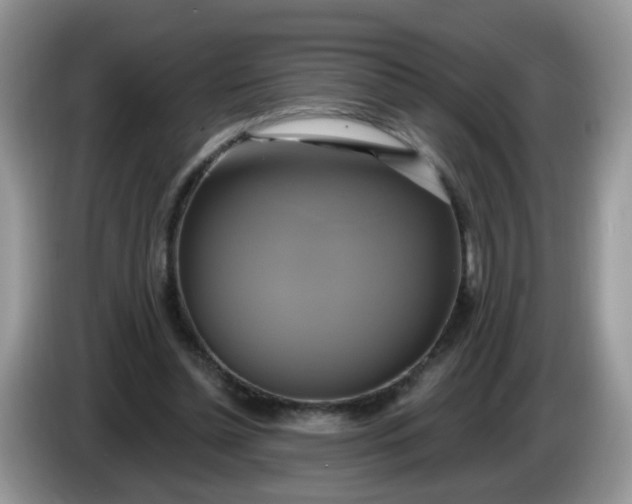 X0000086220348200704121901