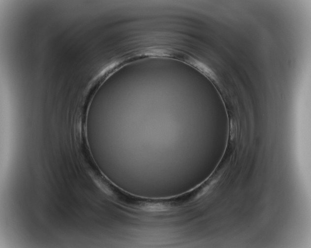 X0000086220349200704121901