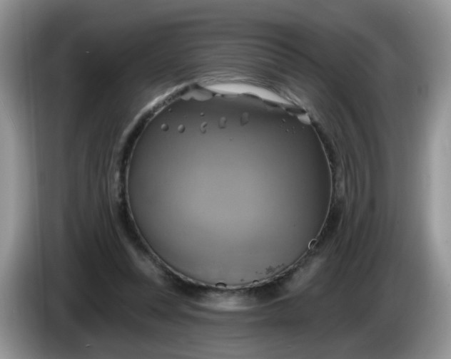 X0000086220351200704121901