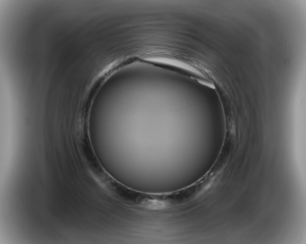 X0000086220352200704121901