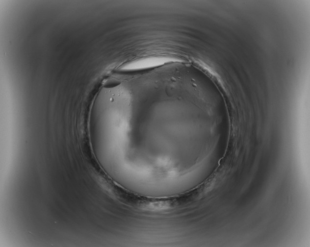 X0000086220353200704121901